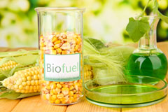 Brinian biofuel availability